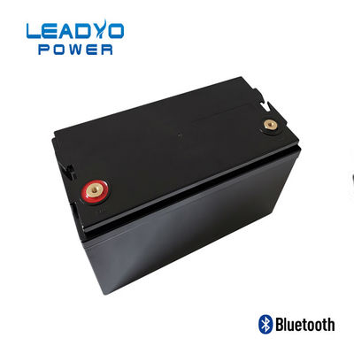 acheter Caisse en plastique des batteries 12V 100amp Screwable de LEADYO BMS Marine Lifepo 4 fabrication en ligne