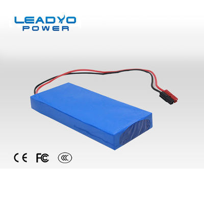 lithium Ion Iron Phosphate Battery Customized de 24V 10Ah avec RS485