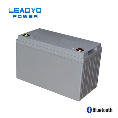 la batterie de 50Ah 24V Lifepo4 font un cycle profondément le lithium Ion Battery Weight 31 livres